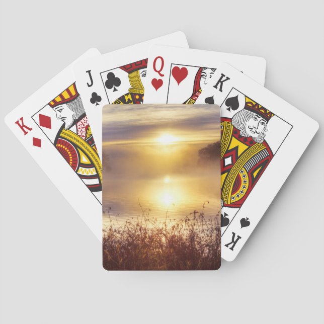 USA, Missouri, Kansas City Metro Area, Fleming Playing Cards (Back)