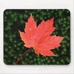 USA, Missouri, Mark Twain National Forest Mouse Mat
