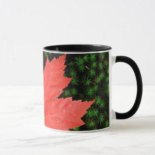 USA, Missouri, Mark Twain National Forest Mug