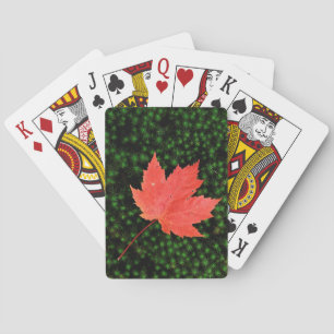USA, Missouri, Mark Twain National Forest Playing Cards