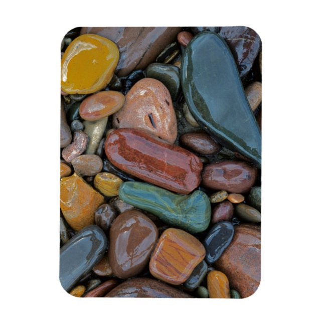 USA, Montana, Clark Fork River, Stones Magnet (Vertical)