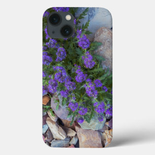 USA, Montana, Glacier National Park iPhone 13 Case