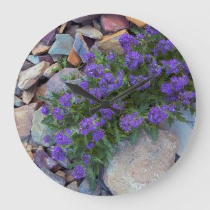 USA, Montana, Glacier National Park Large Clock
