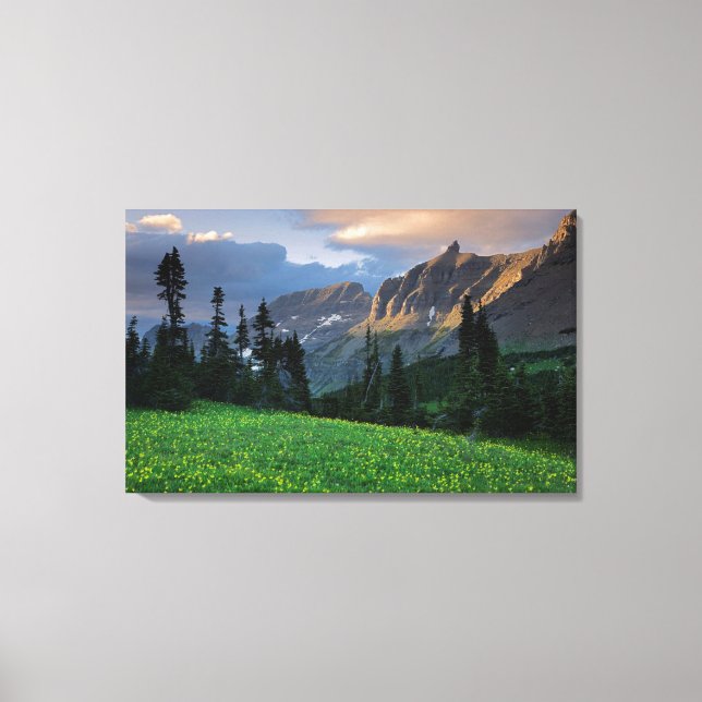 USA, Montana, Glacier National Park, Logan Pass Canvas Print (Front)