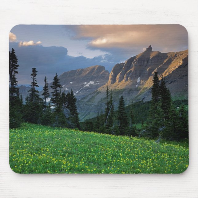 USA, Montana, Glacier National Park, Logan Pass Mouse Mat (Front)