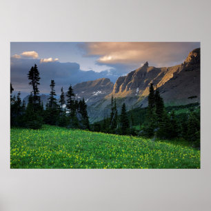 USA, Montana, Glacier National Park, Logan Pass Poster