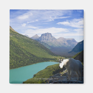 USA, Montana, Glacier National Park, Mountain Magnet