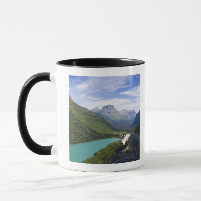 USA, Montana, Glacier National Park, Mountain Mug (Left)
