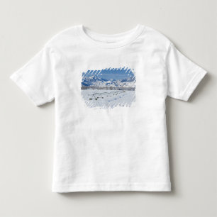 USA, MT, Farm near Livingston Toddler T-Shirt