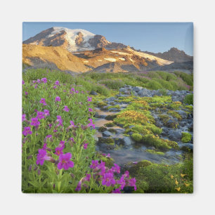 USA, Mt. Rainier National Park, Washington. Magnet