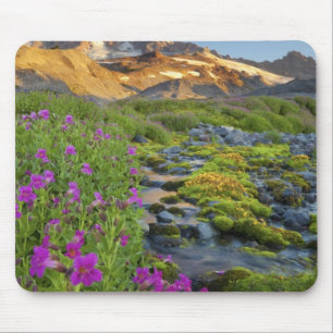 USA, Mt. Rainier National Park, Washington. Mouse Mat