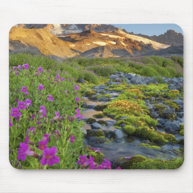 USA, Mt. Rainier National Park, Washington. Mouse Mat (Front)