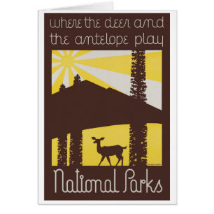 USA National Parks Vintage Poster Restored