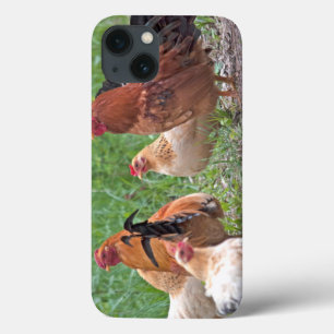 USA, Nebraska. Chickens iPhone 13 Case