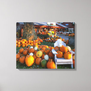 USA, New England, Maine, Wells. Autumn Display Canvas Print