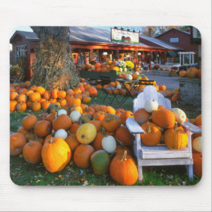 USA, New England, Maine, Wells. Autumn Display Mouse Mat