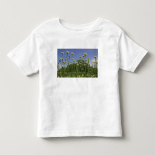 USA, New England, Massachusetts, Boston, 3 Toddler T-Shirt