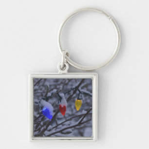 USA, New England, Massachusetts, Reading, 2 Key Ring