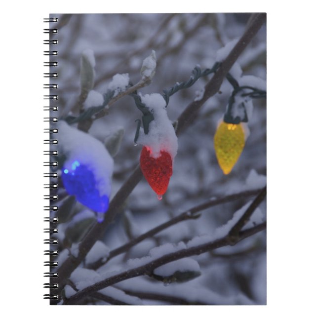USA, New England, Massachusetts, Reading, 2 Notebook (Front)