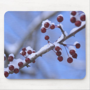 USA, New England, Massachusetts, Reading, 3 Mouse Mat