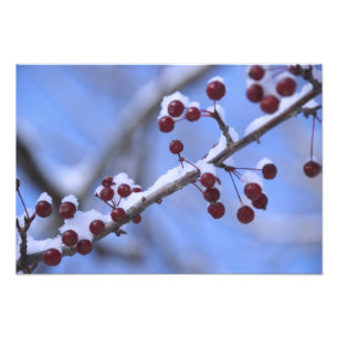 USA, New England, Massachusetts, Reading, 3 Photo Print