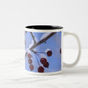 USA, New England, Massachusetts, Reading, 3 Two-Tone Coffee Mug