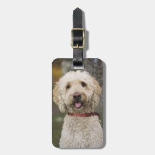 USA, New England, Massachusetts, Reading, Luggage Tag