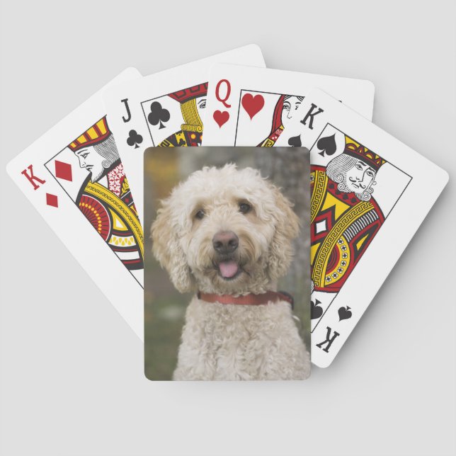 USA, New England, Massachusetts, Reading, Playing Cards (Back)