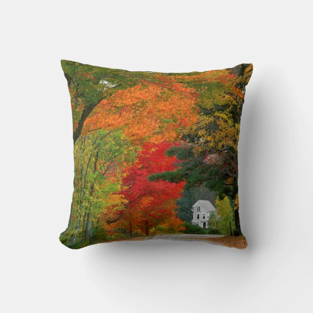 USA, New England, New Hampshire, Andover Cushion (Front)