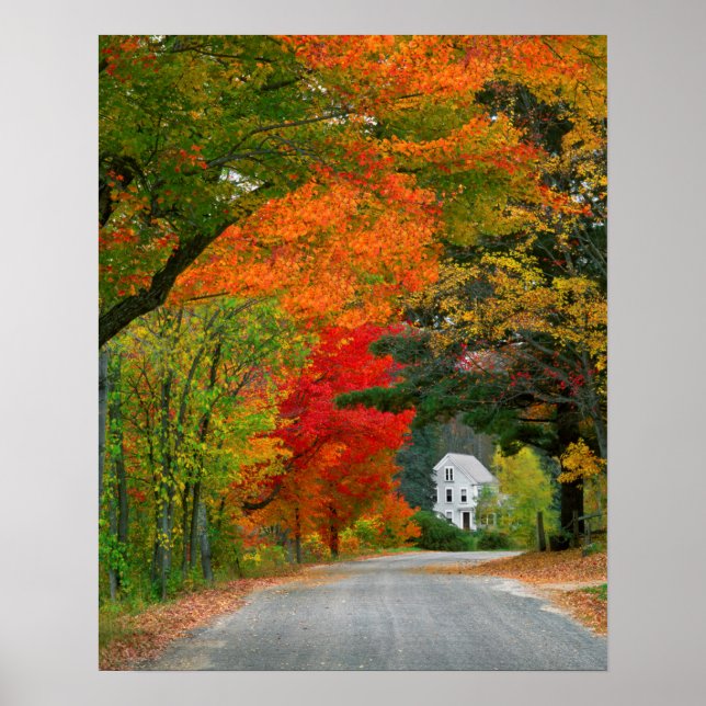 USA, New England, New Hampshire, Andover Poster (Front)