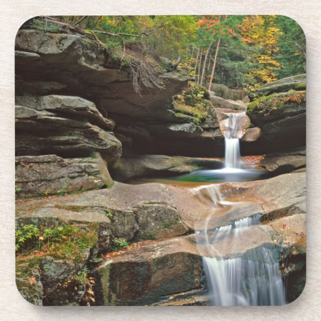 USA, New England, New Hampshire, White Mountains Coaster (Front)