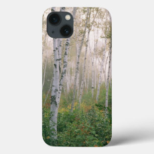 USA, New Hampshire. Birch trees in clearing fog iPhone 13 Case