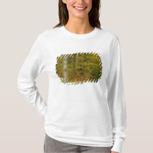 USA, New Hampshire, Livermore, White Mountain T-Shirt