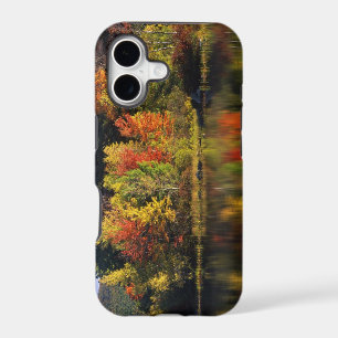 USA, New Hampshire, Moultonborough. Trees in