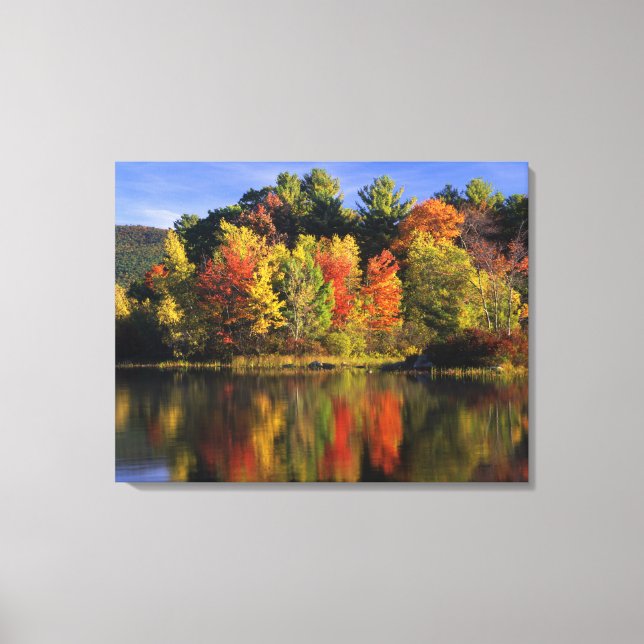 USA, New Hampshire, Moultonborough. Trees in Canvas Print (Front)