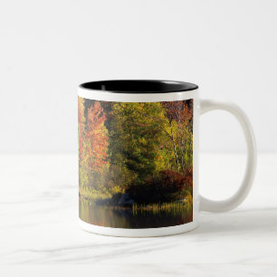 USA, New Hampshire, Moultonborough. Trees in Two-Tone Coffee Mug