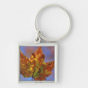 USA, New Hampshire, White Mountains, Franconia Key Ring