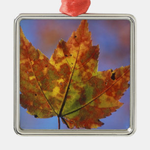 USA, New Hampshire, White Mountains, Franconia Metal Tree Decoration