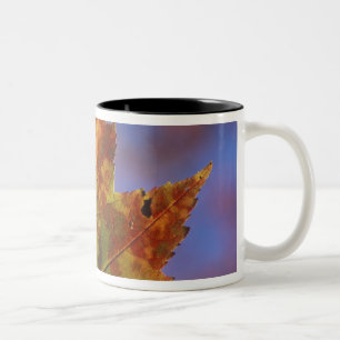 USA, New Hampshire, White Mountains, Franconia Two-Tone Coffee Mug