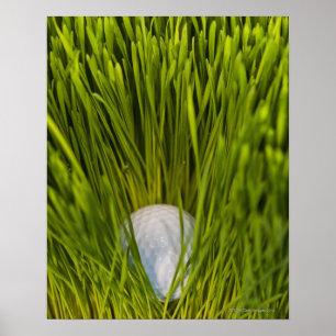 USA, New Jersey, Jersey City, Close-up view of Poster