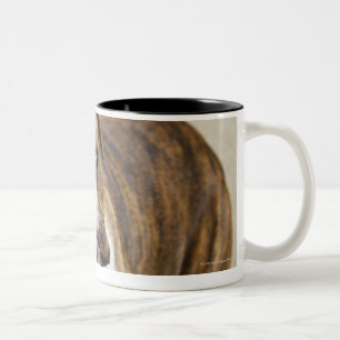USA, New Jersey, Jersey City, Portrait of cute Two-Tone Coffee Mug