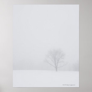 USA, New Jersey, Lonely tree in winter scenery Poster