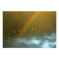 USA, New Mexico, Bosque del Apache National 3