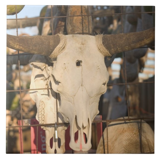 USA, New Mexico, Mesilla: Historic Mesilla Plaza Tile (Front)