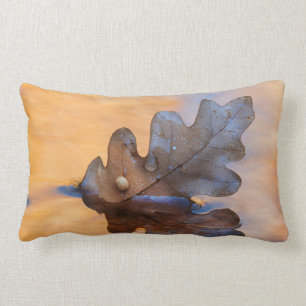 USA, New Mexico. Oak leaf in stream Lumbar Cushion