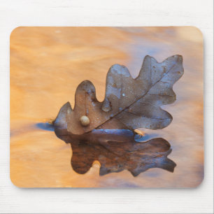 USA, New Mexico. Oak leaf in stream Mouse Mat