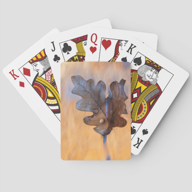 USA, New Mexico. Oak leaf in stream Playing Cards (Back)