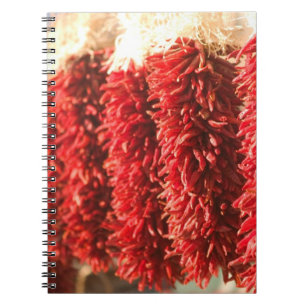 USA, New Mexico, Santa Fe: Downtown Santa Fe, 3 Notebook
