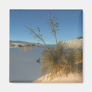 USA, New Mexico, White Sands National 3 Magnet