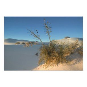 USA, New Mexico, White Sands National 3 Photo Print